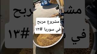 مشروع مربح في سوريا #١٣