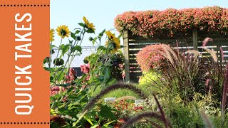 Fall Garden Display 2023: Season Extending Varieties