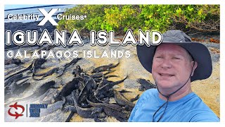 Explore Fernandina Island In The Galapagos Aboard Celebrity Flora