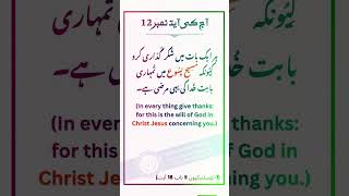 آج کی آیت نمبر 12 #bible #alphabiblecollege #verseoftheday #dailybread
