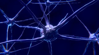 Epilepsie | mediWissen Teil 2