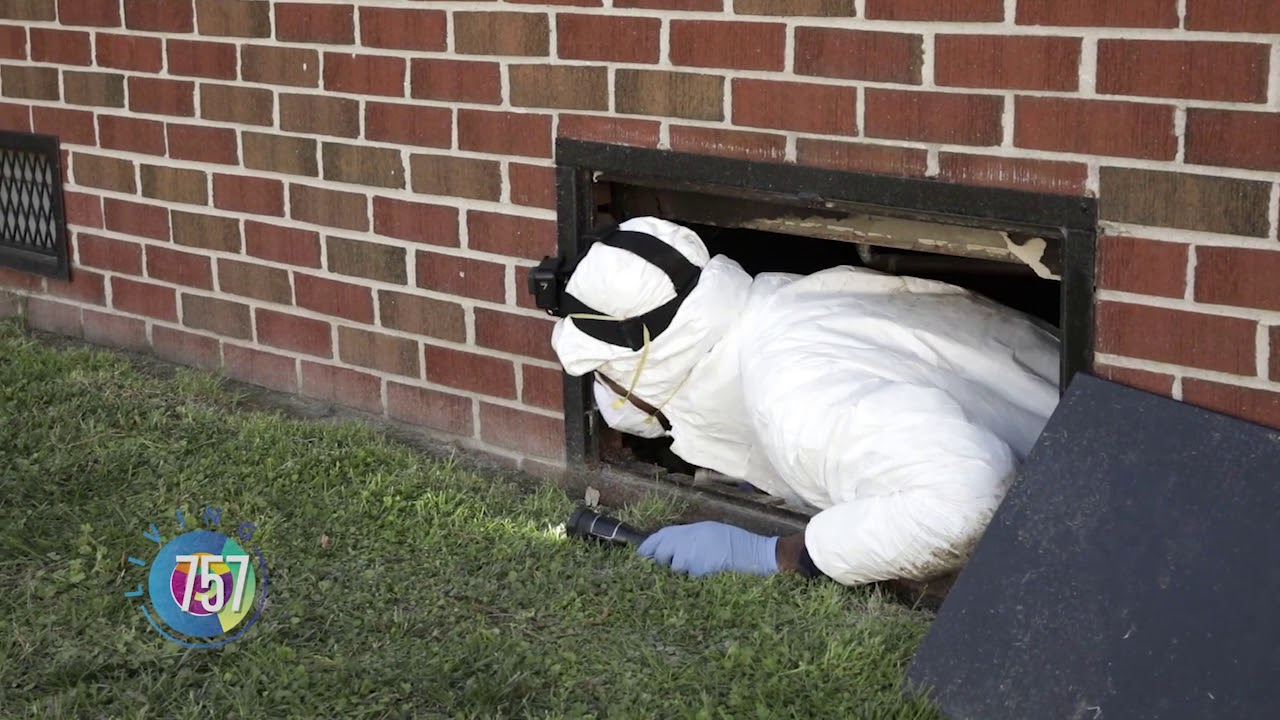 Can Quincy Qualify? Redemption with Priority Pest YouTube