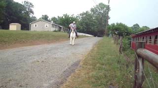 M4H06105.MP4