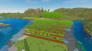 6 hours of farming in Minecraft.