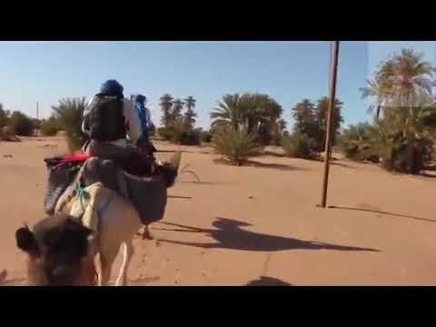 حبيب خاطري تراث الجنوب التونسي تراث تونس