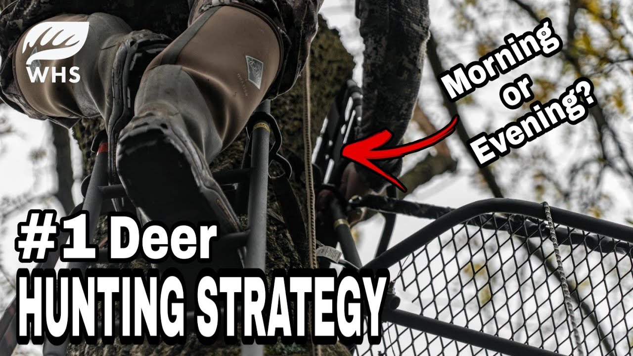 1 Deer Hunting Strategy Test YouTube