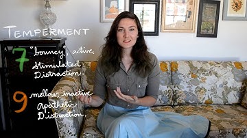 Enneagram 7 vs. 9 Differences | Enthusiast Peacemaker | Misidentification