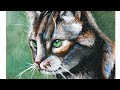 Рисую кота гуашью (sub)  I draw a cat with gouache