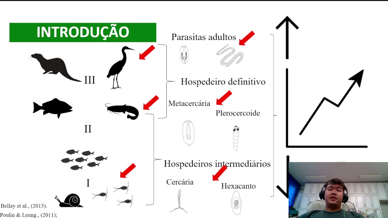 DIVERSIDADE PARASITÁRIA DE Schizodon borelli BOULENGER 1900  NOVOS REGISTROS PARASITÁRIOS