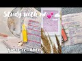 Study with me || Учись со мной📖|| стади виз ми || продуктивный день ||🕊💞