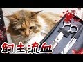 【悲報】飼主2年ぶりにやらかす。。