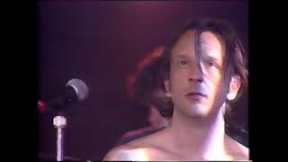 Watch Jesus Lizard Fly On The Wall video