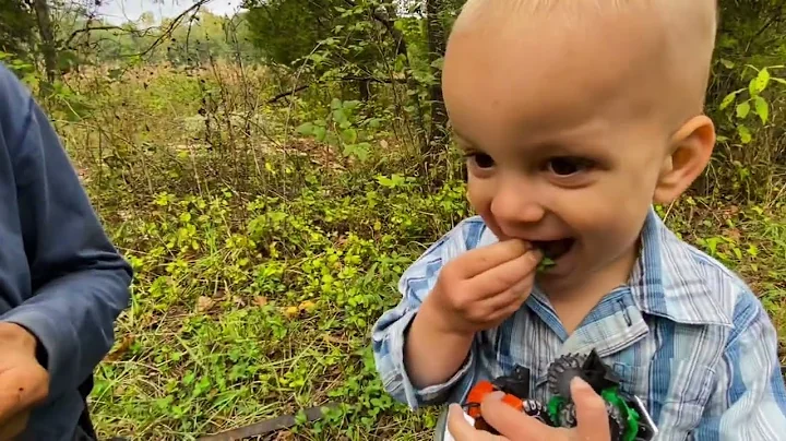 Episode 7: Wild Edibles @ Henson Creek School of Country Living | Titus Morris