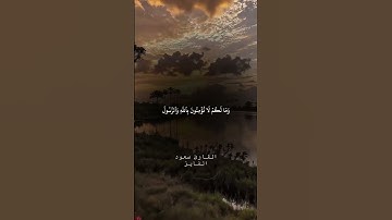 القارئ سعود الفایز #المصحف #لايك #دويتو #الرحمن #تيك_توك #اكسبلور #القزابري #duet #الطحان #الديحاني