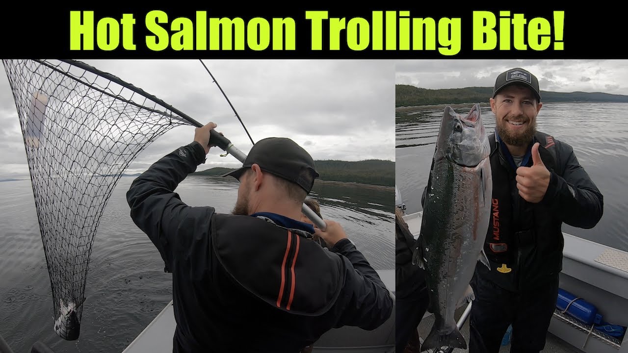 Hot Salmon Trolling Bite! Alaskan Salmon Fishing - Juneau, Alaska