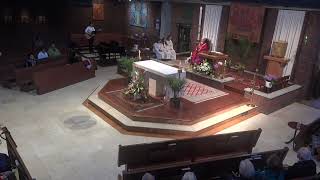 Sunday Mass Livestream