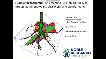 Functional phenomics: An emerging field integrating high-throughput phenotyping, physiology, and