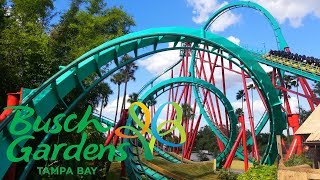 Busch Gardens Tampa Bay Vlog October 2019