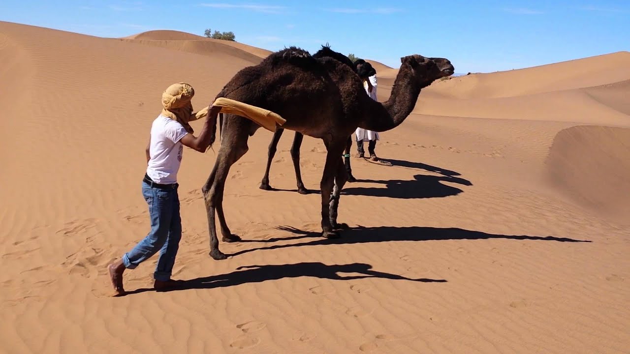 Voyage désert Maroc M'hamid