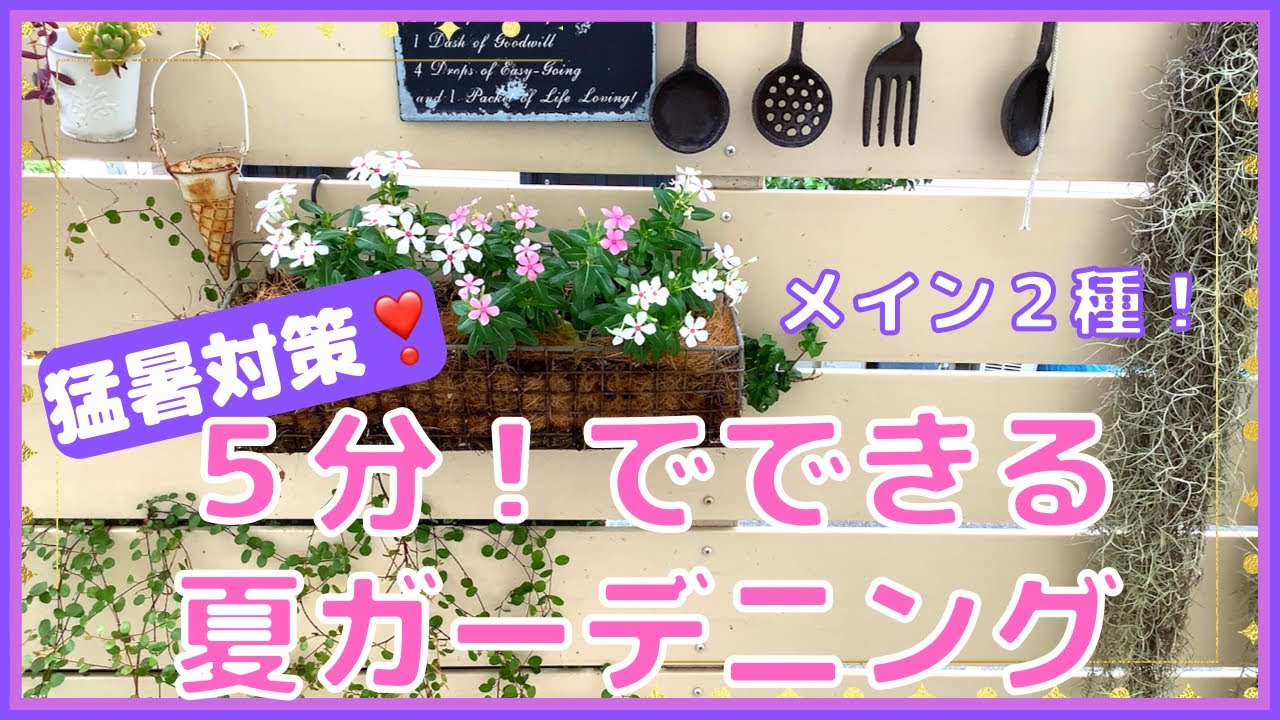 ガーデニング 猛暑対策 暑さに強いお花で庭づくり ５分 De寄せ植え 簡単寄せ植え2種 おしゃれお庭 狭い庭 初心者さんもみてね Diyレンガの花壇 ココヤシファイバー ハンギングバスケット 雑貨 Youtube