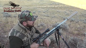 Hunting coyotes with handcalls - Coyote extremely close and how to handle it!