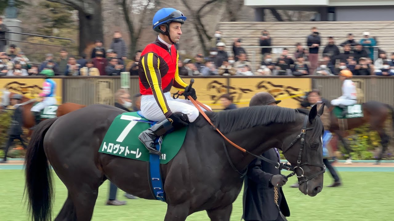 【G3】東京新聞杯トロヴァトーレ全頭パドック2026年2月10日(火曜) 1回東京4日11R東京競馬場
