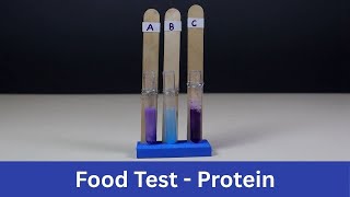 Food Test - Protein DIY Science ThinkTac