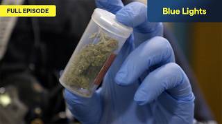 The Hunt For A Suspected Drug Runner 🚨 | S7, E1 | Traffic Cops