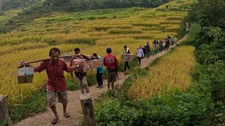 Sangat Langka⁉️ Jajap Pernikahan 3000 Orang di Desa, Penuh Perjuangan. Sawah Indah Terasa Jaman Dulu