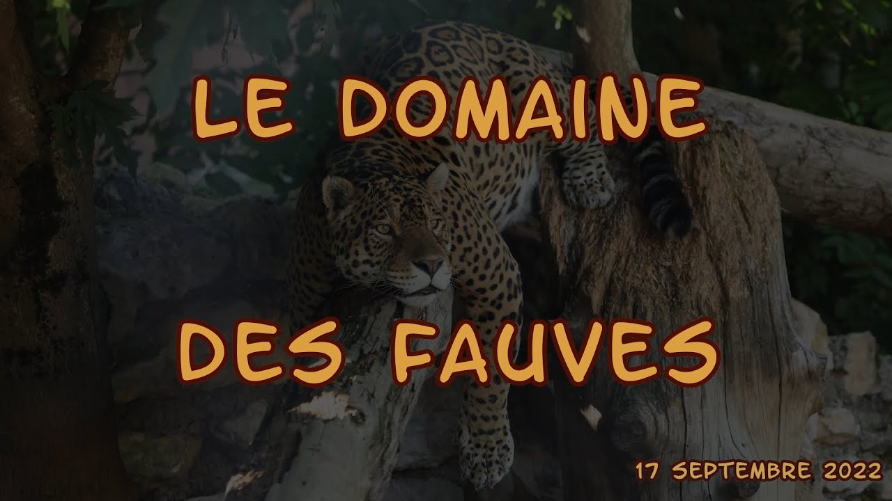 La galerie du domaine des fauves - The gallery of the Domaine des
