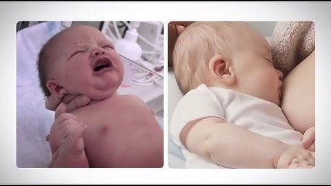 FOOD LIFE: Expo Milano 2015 Spot Hunger - Eng