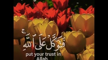اجمل تلاوة رائعة جميلة🥀🌺حالات واتساب مقاطع دينية قصيرة💐#قران_كريم#تلاوات_خاشعة