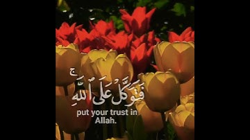 اجمل تلاوة رائعة جميلة🥀🌺حالات واتساب مقاطع دينية قصيرة💐#قران_كريم#تلاوات_خاشعة