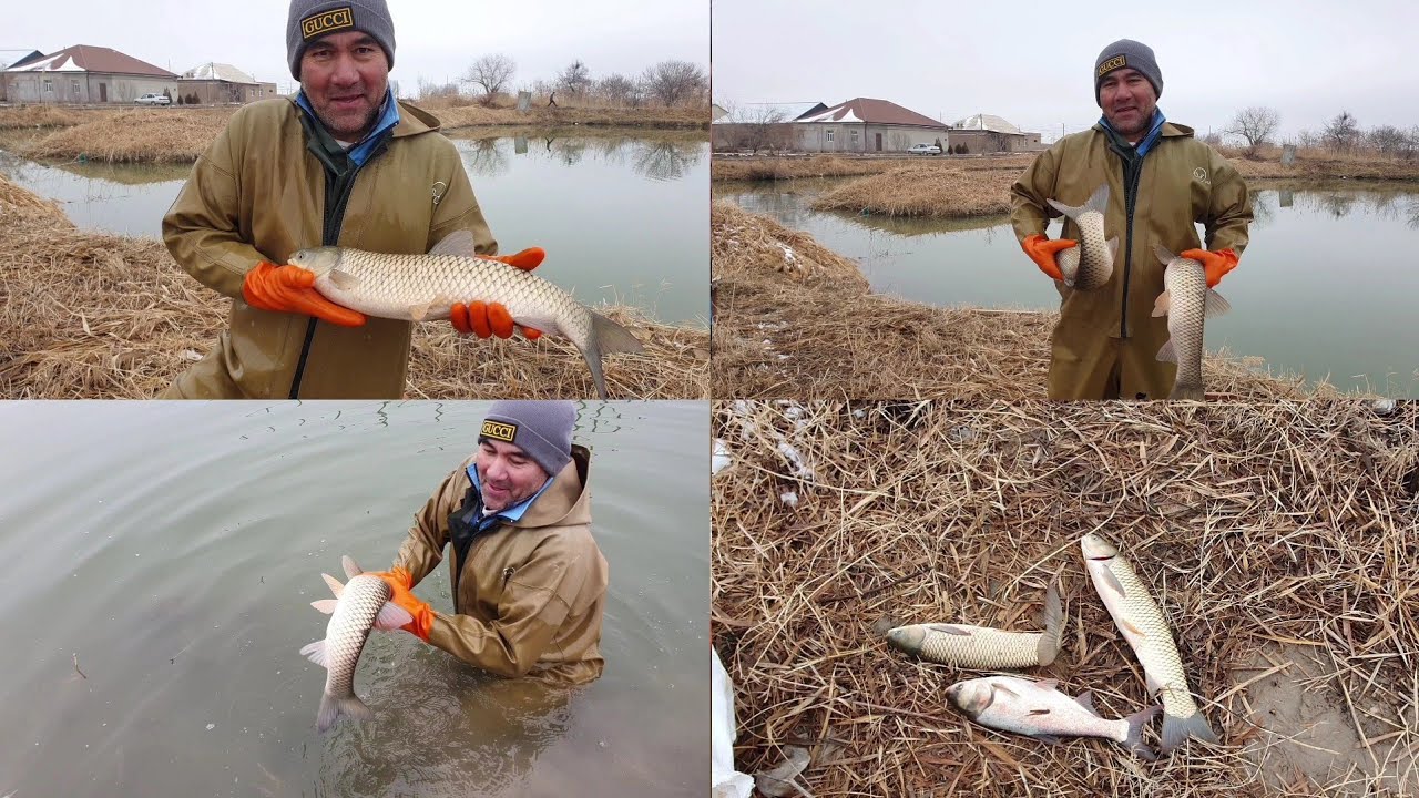 Baliqchi Nuraddin og'a Baliq ovida 🎣 🐟 