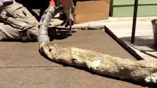 Pool patio concrete leveling with polyurethane foam.