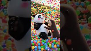 Panda vs Sea Otter Funny Ball Flood Battle 🐼🦦 | 10,000+ Colorful Balls Explosion in 3D ! #shorts