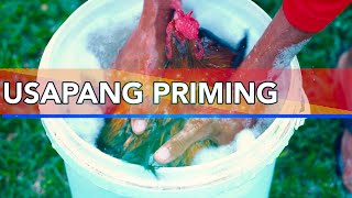 NOKMAPH - VET NI JUAN - PRIMING