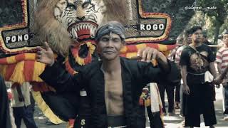TATU versi jaranan