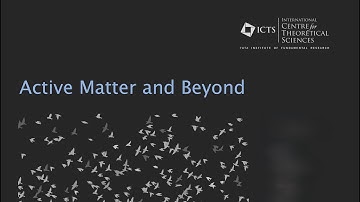Turbulence and Multifractality in Some Models for Active Fluids by Rahul Pandit