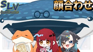 【#SLV】大会顔合わせだあああ　お兄さんがキャリーします #スプラトゥーン3 #スプラ3 #vtuber #splatoon3 #美々海ジン