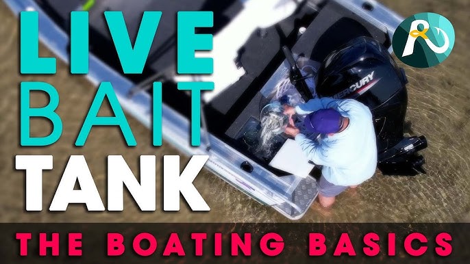 Best bait tank - How to keep live bait alive without using a pump