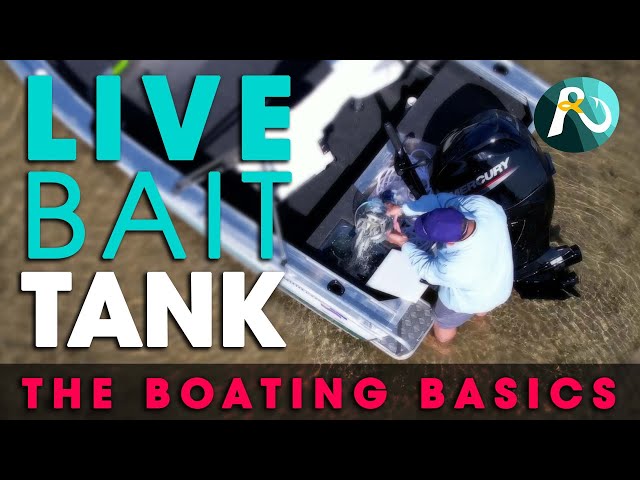 Live Bait Tank BEGINNERS GUIDE - How to operate a live bait tank