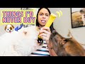 Popular Dog Products I'd NEVER Buy! 🙅 Not Worth the Risk