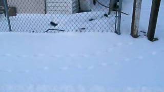 despues d tormenta de nieve bridgeton NJ