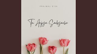 Tu Anjya Sarkyache