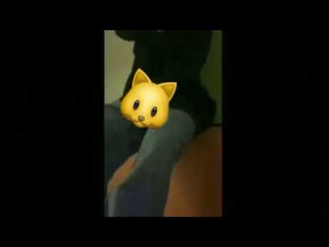 波に名前を付けること僕らの呼吸に終わりがあること/キタニタツヤ(カラオケで歌ってみた)