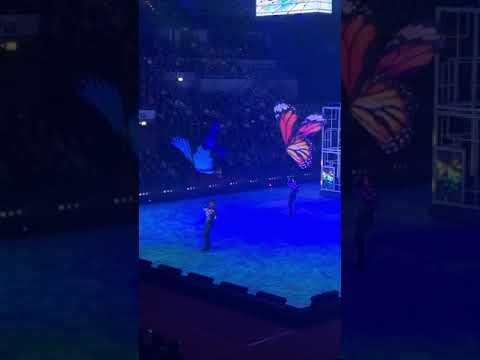 Einleitung: Saisonale Aktionen bei Ocean spin