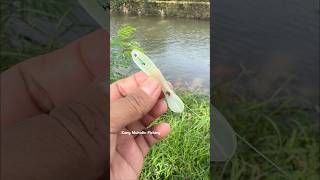 Top Secret Soft Lure Rigging That Increases Hookups#FishingTrick #FishingDaily #FishHunter