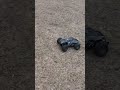 Traxxas Mini Maxx quick Bash