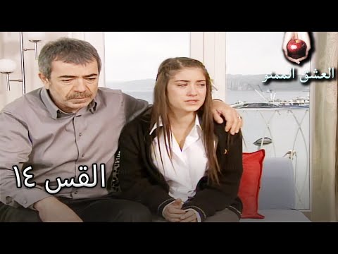 الحب الممنوع الجز 14 Aşk ı Memnu 